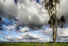 华体会官方-生死时刻的蜕变，班凯罗奇兵天降，魔术力克活塞锁定关键先生之名